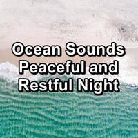 The Ocean Waves Sounds - Ocean Sounds Peaceful and Restful Night
