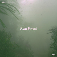 Alto - Rain Forest