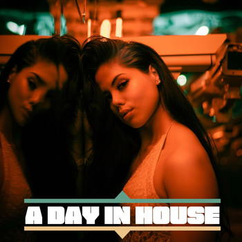 Various Artists - A Day in House