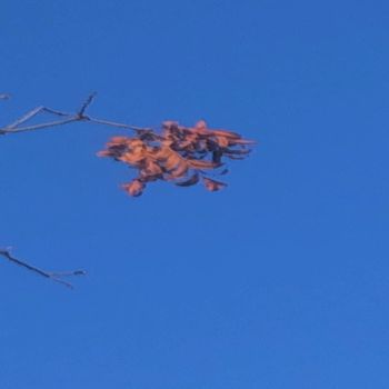 envy - Wake me up when falls over (Explicit)