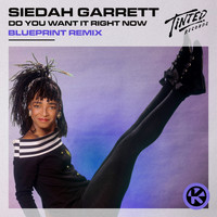 Siedah Garrett - Do You Want It Right Now (BluePrint Remix)