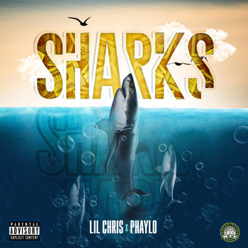 Phaylo & Lil Chris - Sharks (Explicit)