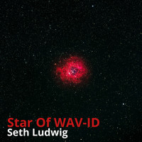 Seth Ludwig - Star of Wav-Id (Instrumental Tape) (Instrumental Tape [Explicit])
