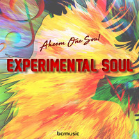 Akeem One Soul - Experimental Soul