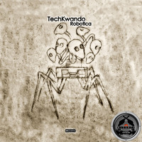 TechKwando - Robotica
