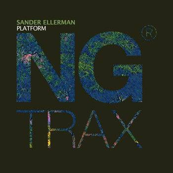 Sander Ellerman - Platform