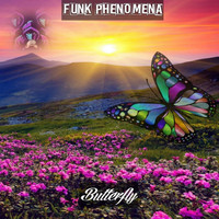 Funk Phenomena - Butterfly