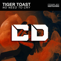 Tiger Toast - No Need To Cry