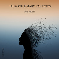 Dj Kone & Marc Palacios - One Night