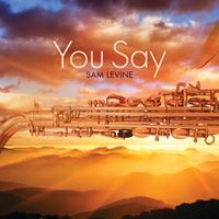 Sam Levine - You Say