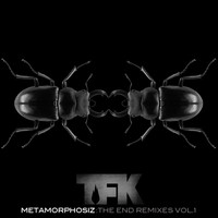 Thousand Foot Krutch - Metamorphosiz: The End (Remixes, Vol. 1 )