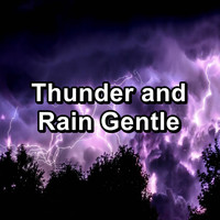 Soothing Nature Sounds - Thunder and Rain Gentle