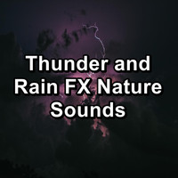 Sleep Tribe - Thunder and Rain FX Nature Sounds