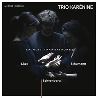 Trio Karénine - La Nuit transfigurée