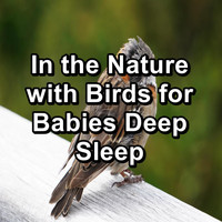 Yoga & Meditation - In the Nature with Birds for Babies Deep Sleep