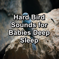 Sleep - Hard Bird Sounds for Babies Deep Sleep