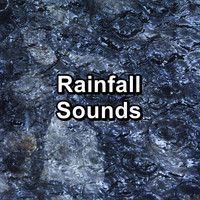 Thunderstorm Sound Bank - Rainfall Sounds
