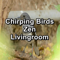Nature Bird Sounds - Chirping Birds Zen Livingroom