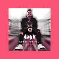 Amir - Got It for You (Optixx Remix)
