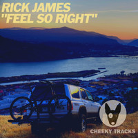 Rick James - Feel So Right