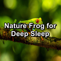 Organic Nature Sounds - Nature Frog for Deep Sleep