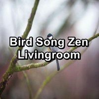 Nature Bird Sounds - Bird Song Zen Livingroom