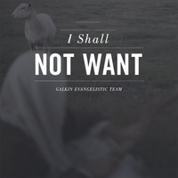 Galkin Evangelistic Team - I Shall Not Want