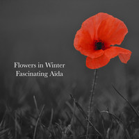 Fascinating Aïda - Flowers in Winter
