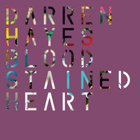 Darren Hayes - Bloodstained Heart (Kryder Remixes)