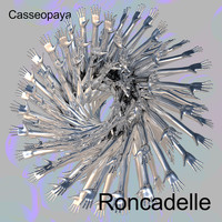 Casseopaya - Roncadelle