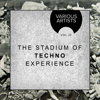Various Artists - The Stadium Of Techno Experience, Vol. 22