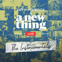 Seth Pinnock & A New Thing - A New Thing Live! (The Instrumentals)
