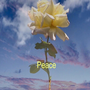 Peter Gosling - Peace (2020 Version)