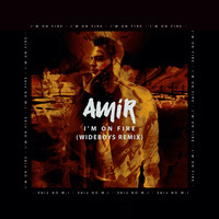 Amir - I'm On Fire (Wideboys Remix)