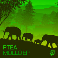 Ptea - Mollo EP