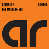 Control Z - Dreaming of You