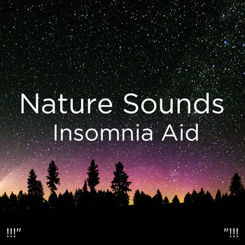 Deep Sleep, Sleep Sound Library and BodyHI - !!!" Nature Sounds Insomnia Aid "!!!