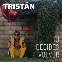 Tristán - Si Decides Volver