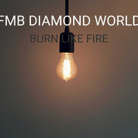 FMB DIAMOND WORLD / - Burn Like Fire