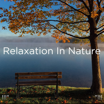 Deep Sleep, Sleep Sound Library and BodyHI - !!!" Relaxation In Nature  "!!!