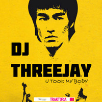 DJ Threejay - U Took My Body