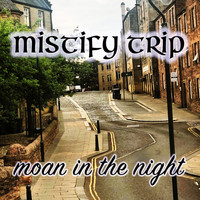 Mistify Trip - Moan In The Night