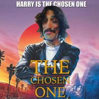 Harry Muffs Disco - The Chosen One (Harry Is the Chosen One)
