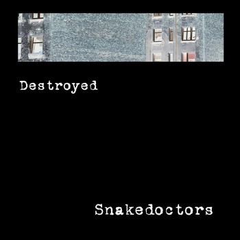 Snakedoctors - Destroyed