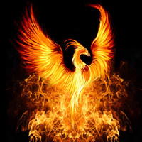 Bedlam - Up from the Ashes a Phoenix Arises
