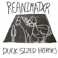 Reanimatxr - DuckSizedHorses