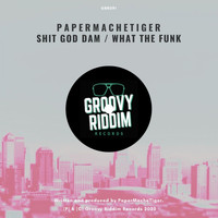 PaperMacheTiger - Shit God Dam / What The Funk (Explicit)