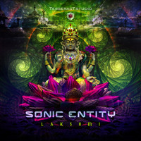 Sonic Entity - Lakshmi