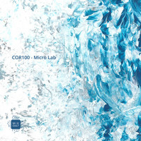 COR100 - Micro Lab
