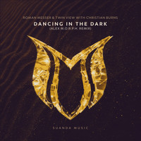 Roman Messer & Twin View With Christian Burns - Dancing In The Dark (Alex M.O.R.P.H. Remix)